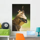 Steppe Eagle Wall Mural