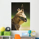 Steppe Eagle Wall Mural