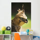 Steppe Eagle Wall Mural
