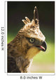 Steppe Eagle Wall Mural
