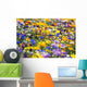Wildflowers, Mount Hood, Oregon, Usa Wall Mural