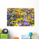 Wildflowers, Mount Hood, Oregon, Usa Wall Mural