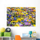 Wildflowers, Mount Hood, Oregon, Usa Wall Mural