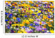 Wildflowers, Mount Hood, Oregon, Usa Wall Mural