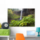 South Silver Falls, Silver Falls State Park, Oregon, Usa Wall Mural