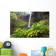South Silver Falls, Silver Falls State Park, Oregon, Usa Wall Mural