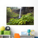 South Silver Falls, Silver Falls State Park, Oregon, Usa Wall Mural
