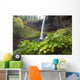 South Silver Falls, Silver Falls State Park, Oregon, Usa Wall Mural