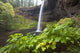 South Silver Falls, Silver Falls State Park, Oregon, Usa Wall Mural