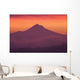 Mountain Wall Mural