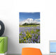 Mount Rainier National Park, Washington Of America Wall Mural