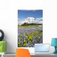 Mount Rainier National Park, Washington Of America Wall Mural