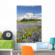Mount Rainier National Park, Washington Of America Wall Mural