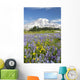 Mount Rainier National Park, Washington Of America Wall Mural