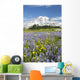 Mount Rainier National Park, Washington Of America Wall Mural