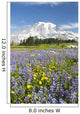 Mount Rainier National Park, Washington Of America Wall Mural