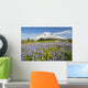 Wildflowers In Paradise Park With Mount Rainier In The Background Wall Mural