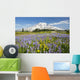 Wildflowers In Paradise Park With Mount Rainier In The Background Wall Mural