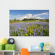 Wildflowers In Paradise Park With Mount Rainier In The Background Wall Mural