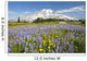 Wildflowers In Paradise Park With Mount Rainier In The Background Wall Mural