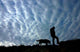 Il Camino Wall Decal