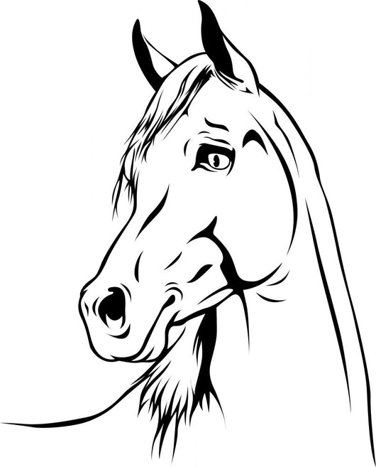 Arabian Horse 03