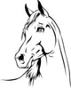 Arabian Horse 03