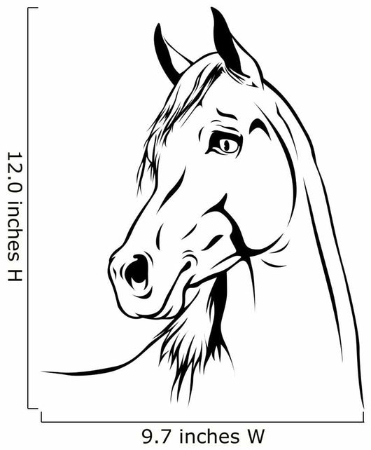 Arabian Horse Wall Decal Design 2