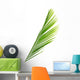 Palme Vert Palmiste Fond Wall Mural
