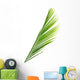 Palme Vert Palmiste Fond Wall Mural