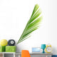 Palme Vert Palmiste Fond Wall Mural