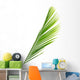 Palme Vert Palmiste Fond Wall Mural
