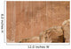 Utah America Wall Mural
