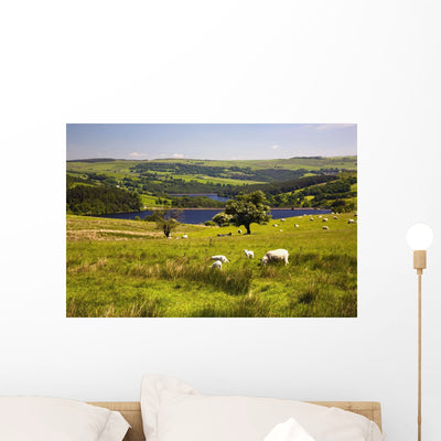 Sheffield South Yorkshire England Wall Mural shown on a wall