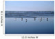 Seagulls Standing On The Shore As The Waves Roll In Wall Mural
