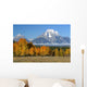 Aspens Wall Decal Design 2