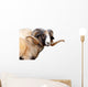 Navajo Churro Sheep Wall Decal