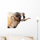 Navajo Churro Sheep Wall Decal
