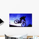 A Bicycle Stunt Wall Mural