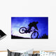 A Bicycle Stunt Wall Mural