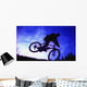 A Bicycle Stunt Wall Mural
