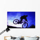 A Bicycle Stunt Wall Mural