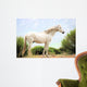 White Horse Wall Mural