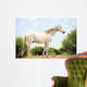 White Horse Wall Mural