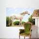 White Horse Wall Mural