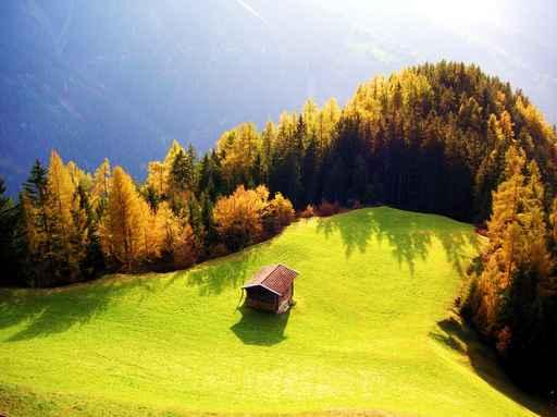 Herbst Wall Decal Design 1