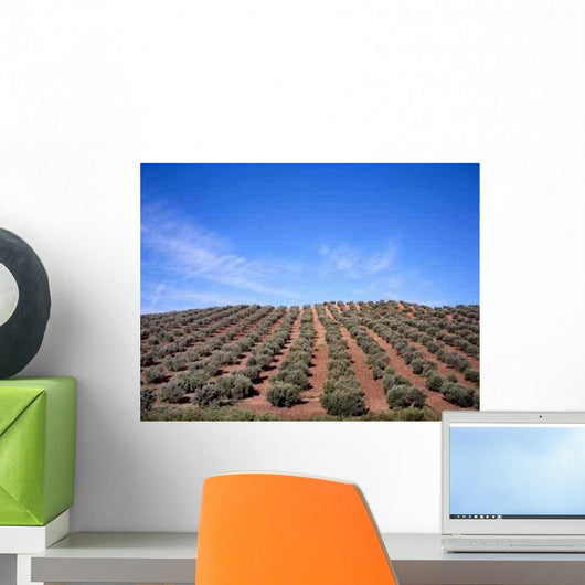 Olive Trees Wall Decal Design 2