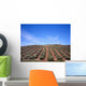 Olive Trees Wall Decal Design 2