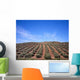 Olive Trees Wall Mural
