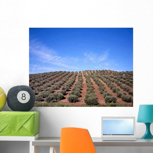 Olive Trees Wall Decal Design 2